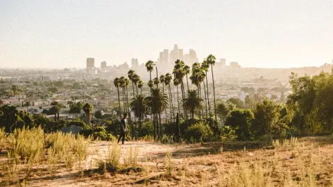 Palm trees and the Los Angeles skyline seen from an outdoor walking trail